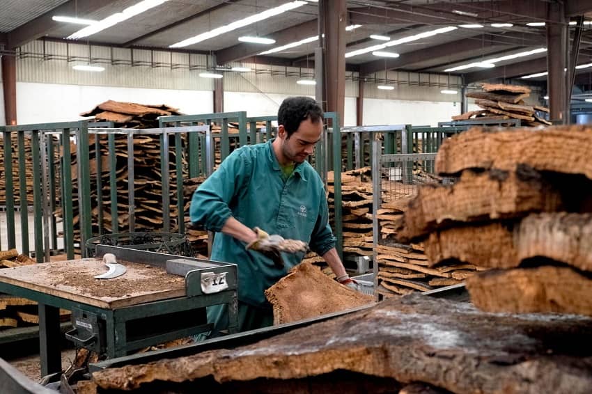 بیش‌ از نیمی از چوب ‌پنبه جهان از پرتغال می‌آید