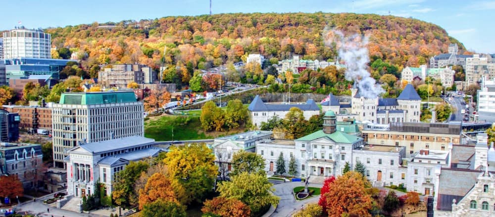McGill University از چند پردیس تشکیل شده است؟