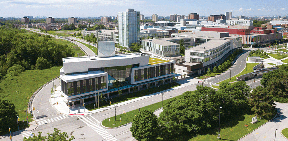 بورسیه‌های دانشگاه یورک کانادا